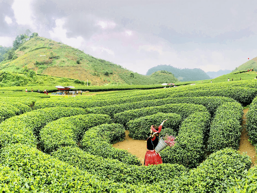 Tour du lịch trải nghiệm Quy Nhơn - Điện Biên 5N4Đ