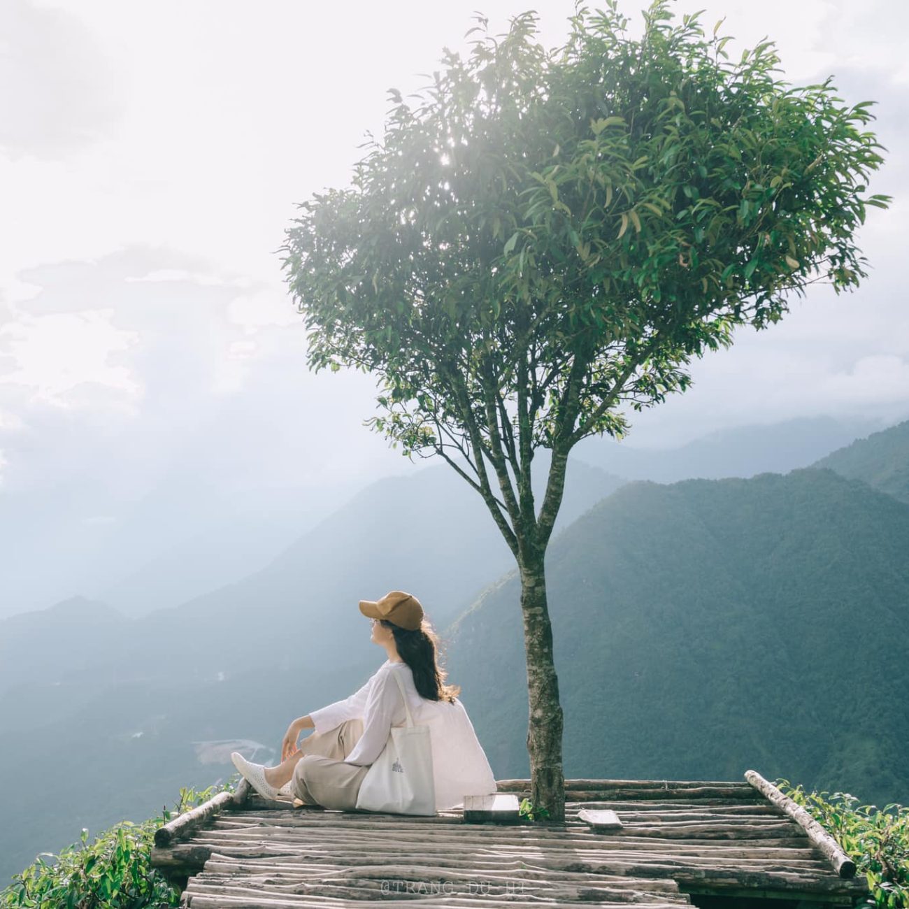 Quy Nhơn – Quảng Bình – Nghệ An – Hà Nội – Phú Thọ – Lào Cai (Sapa) – Ninh Bình - Quảng Trị - Quy Nhơn