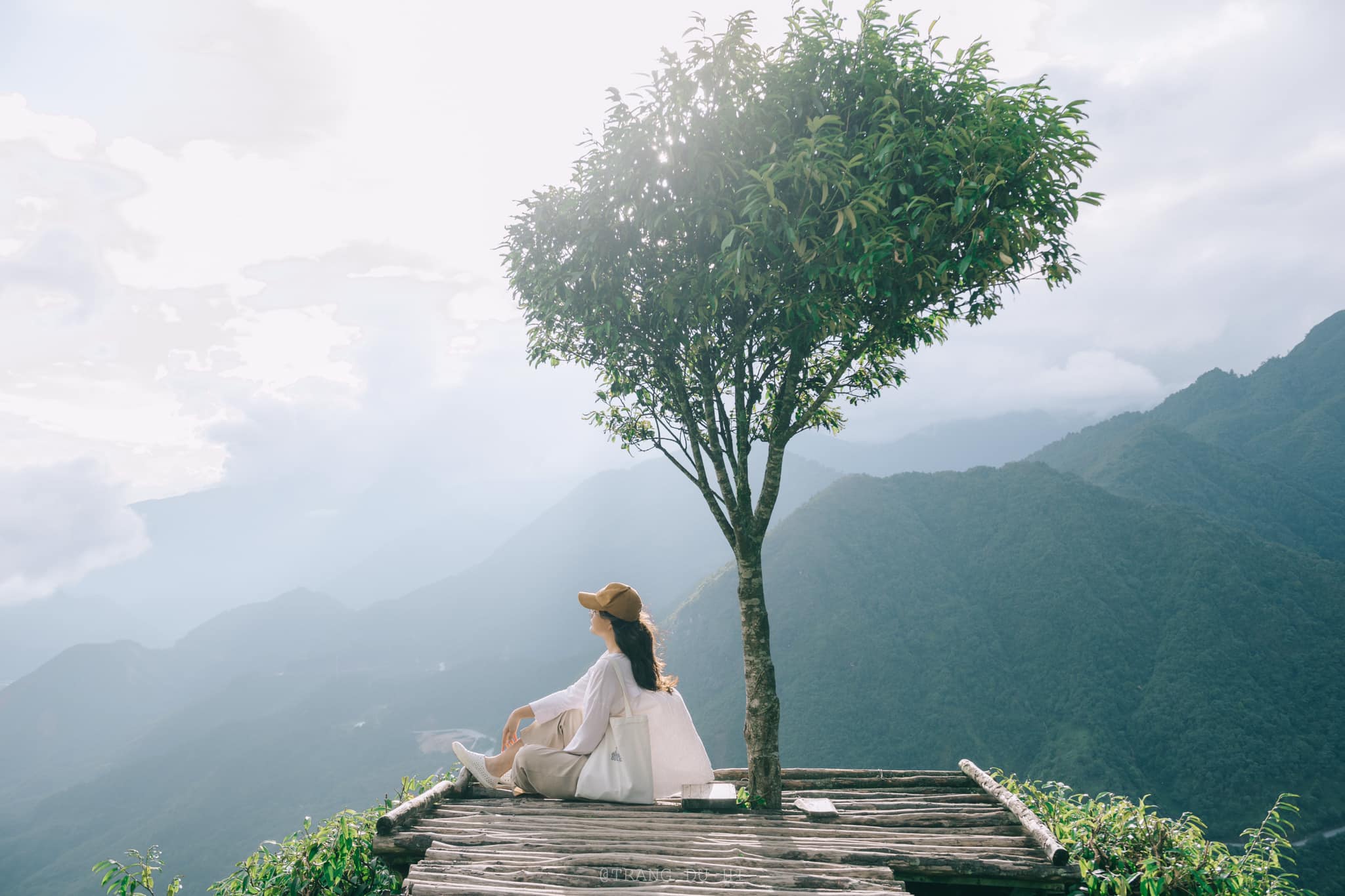 Quy Nhơn – Quảng Bình – Nghệ An – Hà Nội – Phú Thọ – Lào Cai (Sapa) – Ninh Bình - Quảng Trị - Quy Nhơn