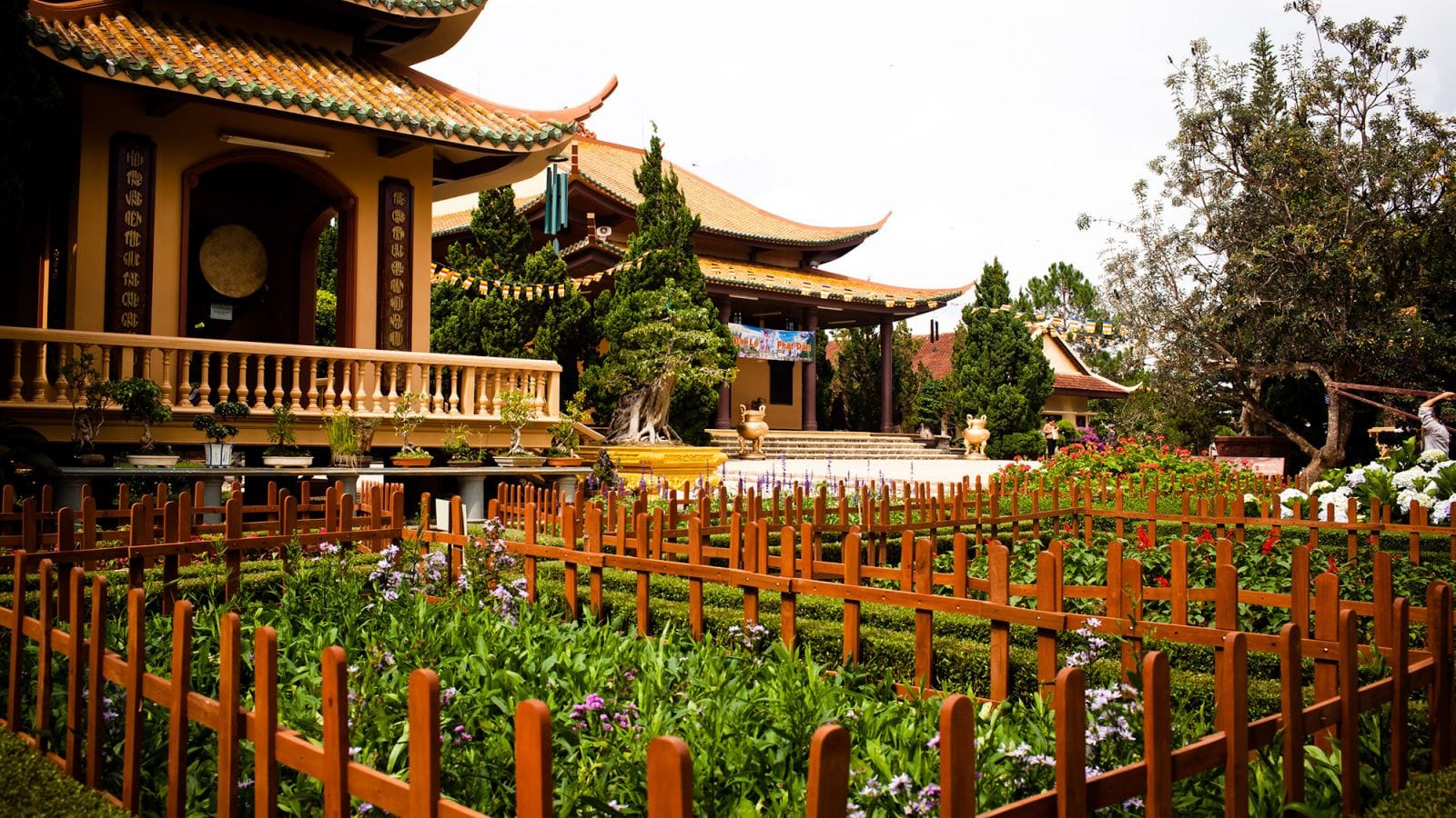 Chương trình tham quan An Nhơn – Phan Thiết – Cần Thơ – Cà Mau – Rạch Giá – Phú Quốc – Đồng Tháp - Đà Lạt – An Nhơn